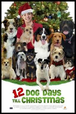 12 Dog Days Till Christmas (missing thumbnail, image: /images/cache/74872.jpg)