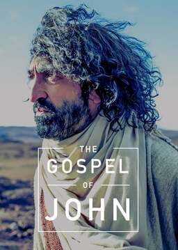 The Gospel of John (missing thumbnail, image: /images/cache/77704.jpg)