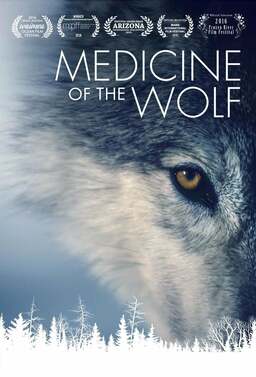 Medicine of the Wolf (missing thumbnail, image: /images/cache/78650.jpg)