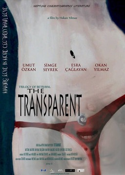 The Transparent (missing thumbnail, image: /images/cache/78786.jpg)