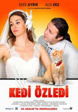 Kedi Özledi (missing thumbnail, image: /images/cache/78932.jpg)