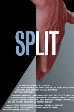 Split (missing thumbnail, image: /images/cache/80568.jpg)