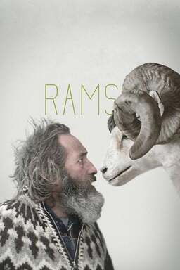 Rams (missing thumbnail, image: /images/cache/80904.jpg)