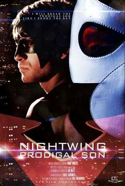 Nightwing: Prodigal Son (missing thumbnail, image: /images/cache/81124.jpg)