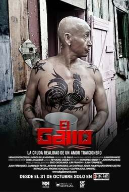 El Gallo (missing thumbnail, image: /images/cache/82224.jpg)