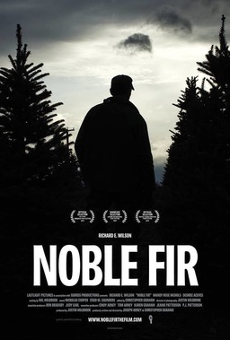 Noble Fir (missing thumbnail, image: /images/cache/83462.jpg)