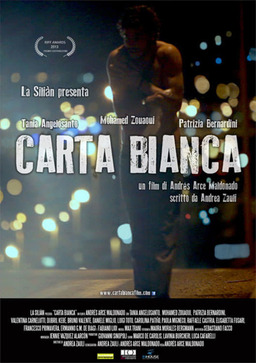 Carta bianca (missing thumbnail, image: /images/cache/85656.jpg)