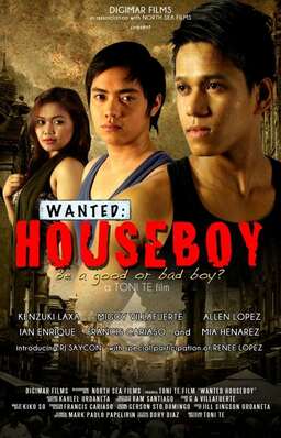 Wanted: Houseboy (missing thumbnail, image: /images/cache/87638.jpg)