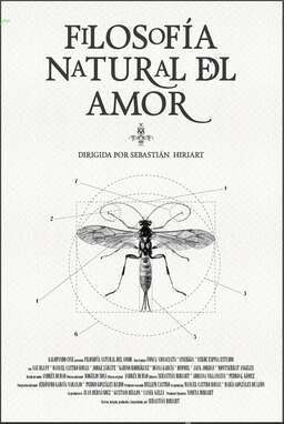 Filosofía natural del amor (missing thumbnail, image: /images/cache/89184.jpg)