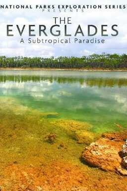 National Parks Exploration Series: The Everglades - A Subtropical Paradise (missing thumbnail, image: /images/cache/89802.jpg)