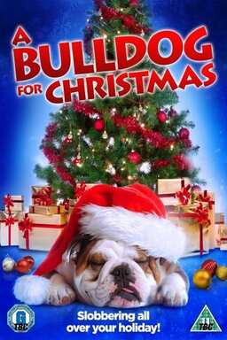 A Bulldog for Christmas (missing thumbnail, image: /images/cache/91126.jpg)