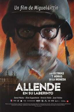 Allende en su laberinto (missing thumbnail, image: /images/cache/92778.jpg)