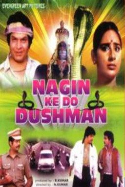 Nagin Ke Do Dushman (missing thumbnail, image: /images/cache/93080.jpg)
