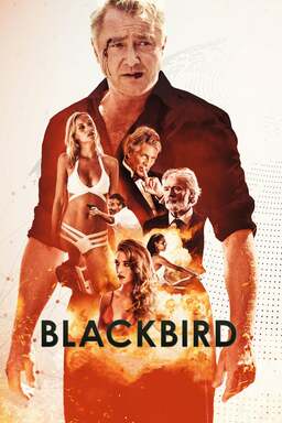 Blackbird (missing thumbnail, image: /images/cache/9401.jpg)