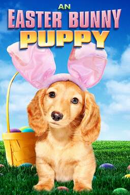 An Easter Bunny Puppy (missing thumbnail, image: /images/cache/95720.jpg)