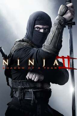 Ninja Avengers (missing thumbnail, image: /images/cache/98938.jpg)